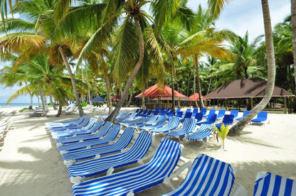 🏝️ Saona Island