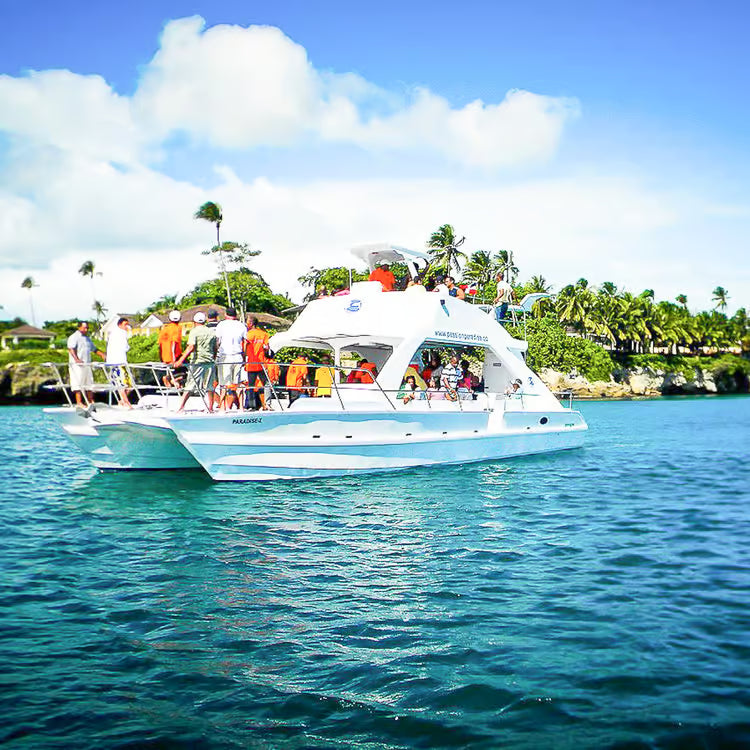🏝️ Saona Island