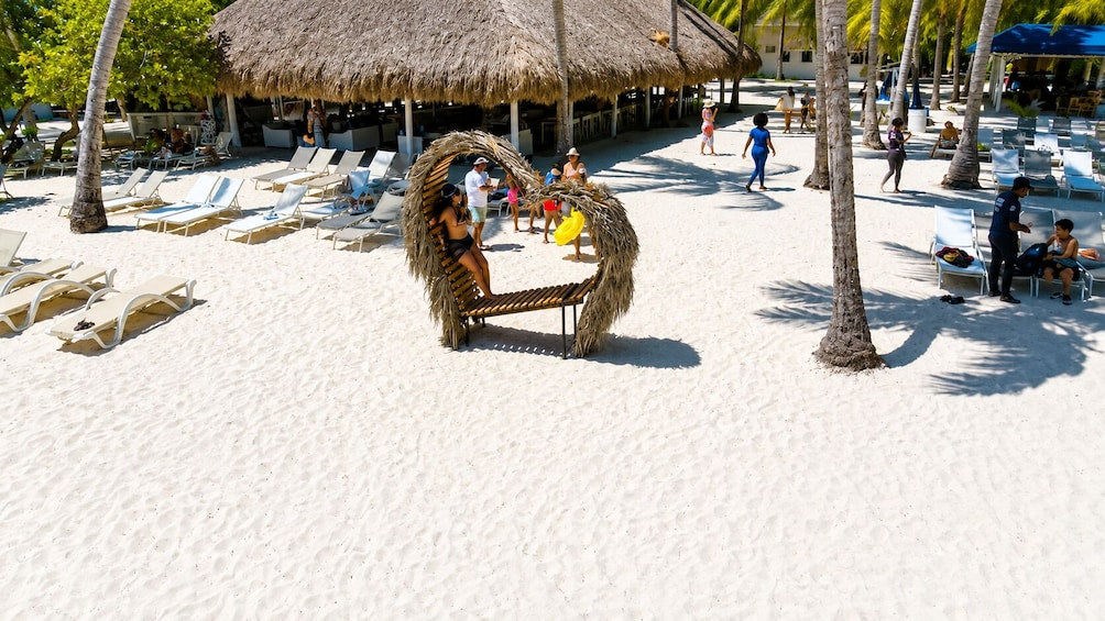 🏝️ Saona Island