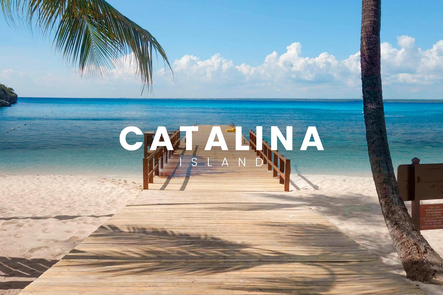 🐠 Ctalina Island