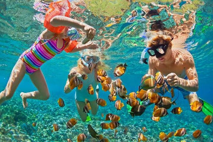 🐠 Ctalina Island