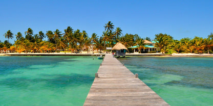 🐠 Ctalina Island