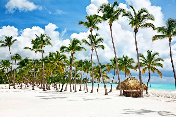 🏝️ Saona Island