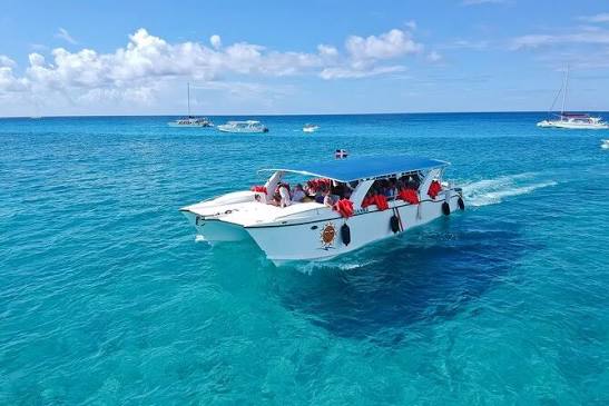 🏝️ Saona Island