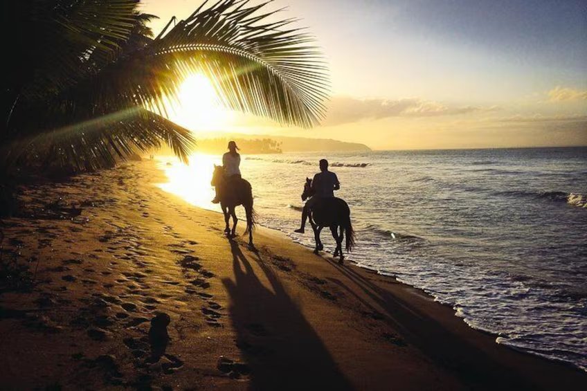 Sunset Horse Back Riding on the beach in Punta Cana